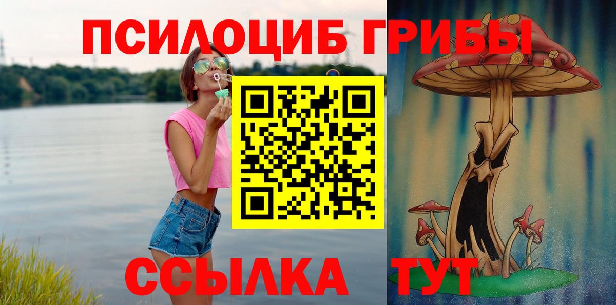 Псилоцибиновые грибы Cubensis Северобайкальск